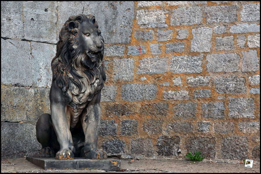 2026-07-23_15-09-48-Bad-Mergentheim-600D 2026-07-23_15-09-48-Bad-Mergentheim-600D